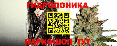 ГАЛЛЮЦИНОГЕННЫЕ ГРИБЫ Северобайкальск