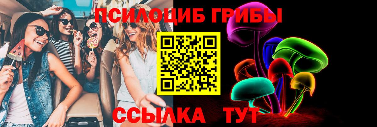 Псилоцибиновые грибы Psilocybine cubensis  Вход с VPN  Новотроицк 